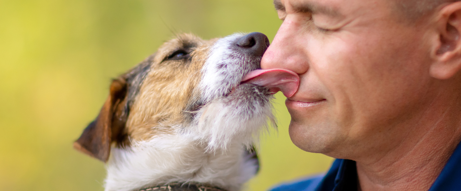 do dogs like when humans kiss them