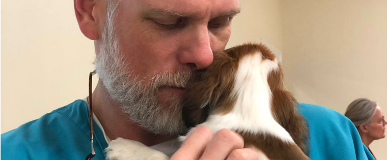 Love your vet team? Here’s how to show it. <3