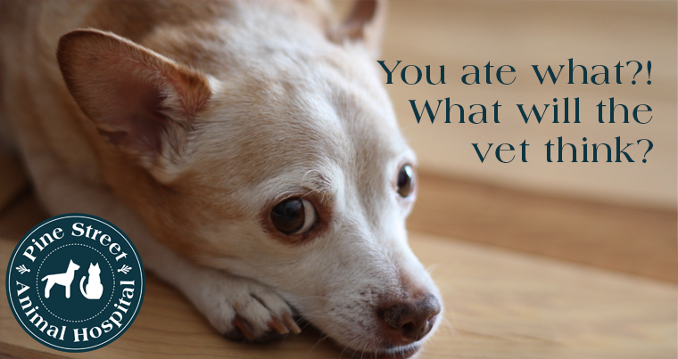 A Vet’s List of the Strange Things Pets Eat