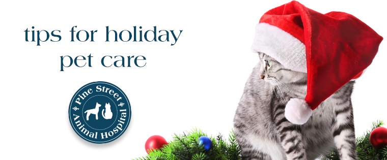 Tips for Holiday Pet Care