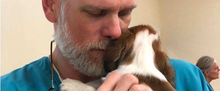 Love your vet team? Here’s how to show it. <3